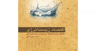 طرح جلد کتاب اقتصاد زیست انرژی (مطالعه روش شناسانه درمان های زیست انرژیایی)-نوشته فرزاد گلی- ترجمه پریسا خسروی و امیررضا برومند-از انتشارات دهکده سلامت درمان های مکمل، پزشکی روان تنی